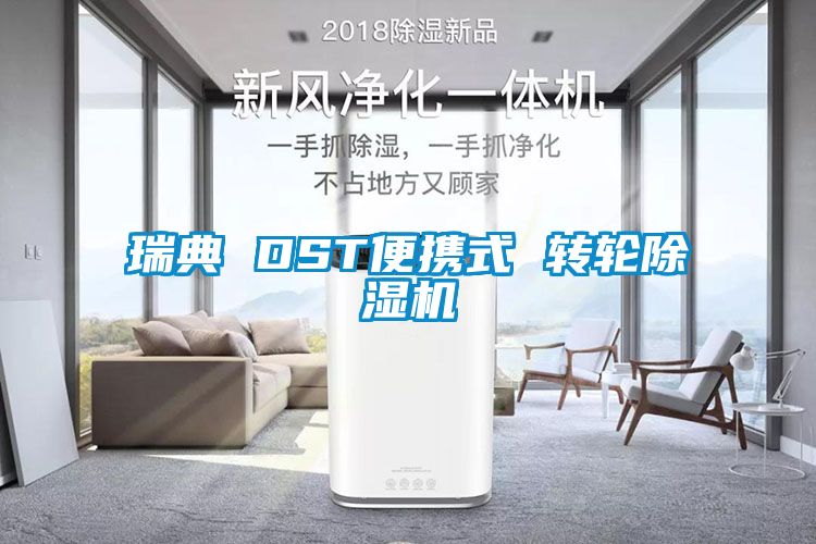 瑞典 DST便攜式 轉輪91视频链接下载