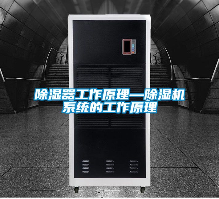 除濕器工作原理—91视频链接下载係統的工作原理