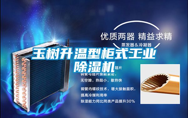 玉樹升溫型櫃式工業91视频链接下载