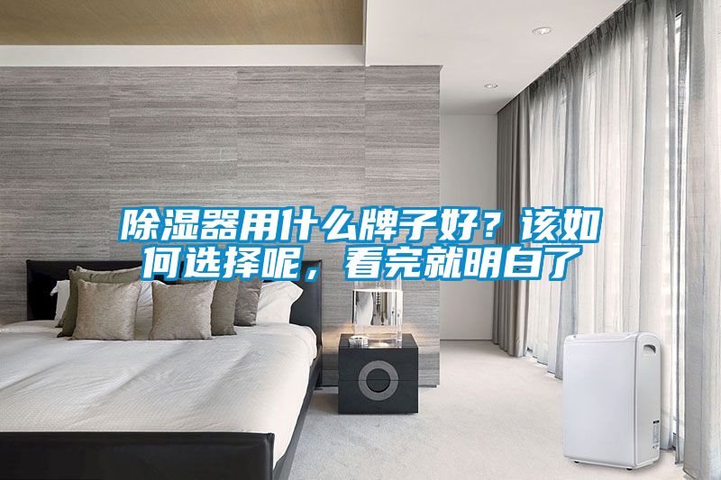 除濕器用什麽牌子好？該如何選擇呢，看完就明白了