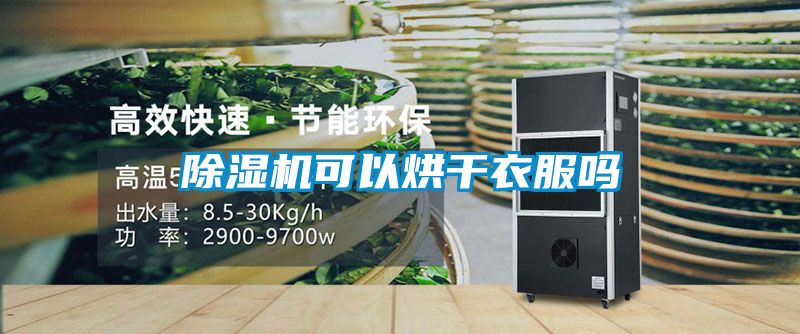 91视频链接下载可以烘幹衣服嗎