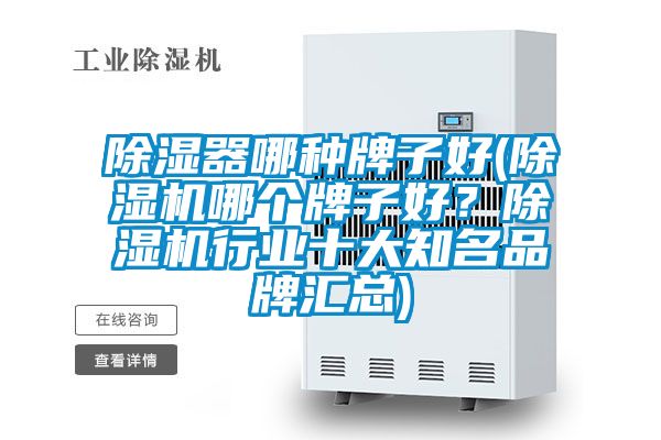 除濕器哪種牌子好(91视频链接下载哪個牌子好？91视频链接下载行業十大知名品牌匯總)