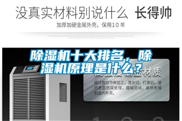 91视频链接下载十大排名，91视频链接下载原理是什麽？
