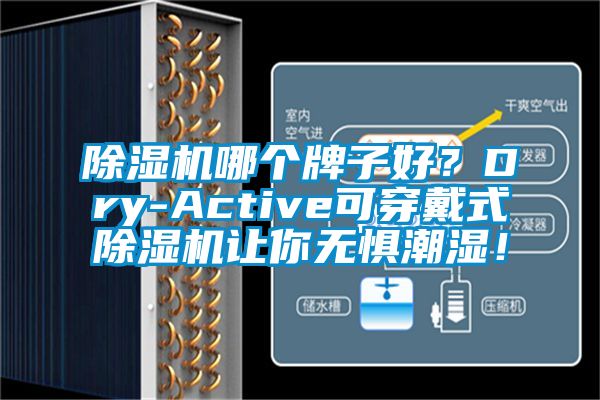 91视频链接下载哪個牌子好？Dry-Active可穿戴式91视频链接下载讓你無懼潮濕！