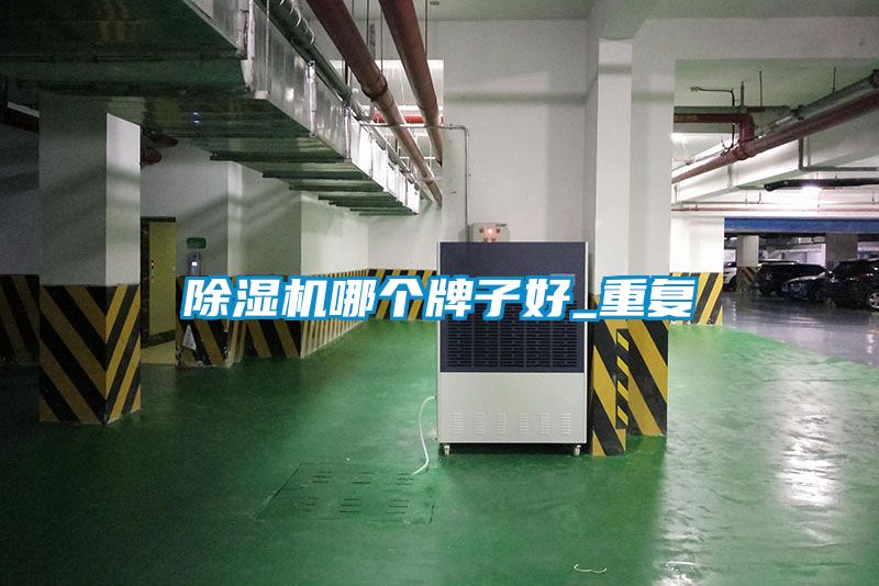 91视频链接下载哪個牌子好_重複