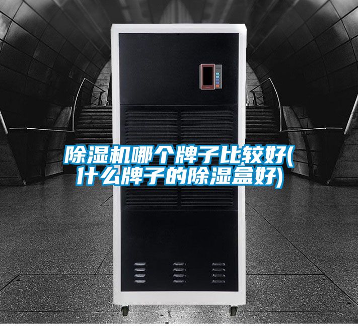 91视频链接下载哪個牌子比較好(什麽牌子的除濕盒好)