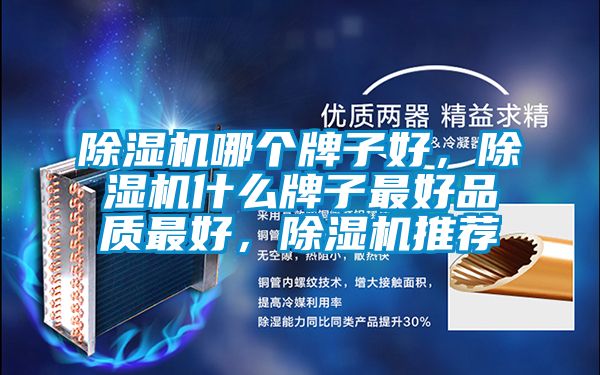 91视频链接下载哪個牌子好，91视频链接下载什麽牌子最好品質最好，91视频链接下载推薦
