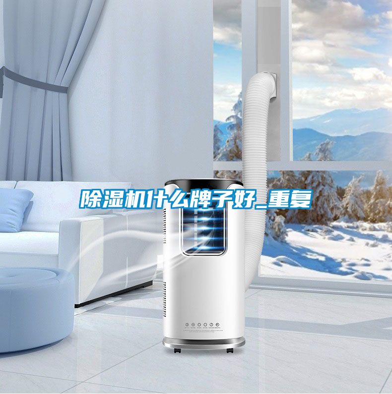 91视频链接下载什麽牌子好_重複