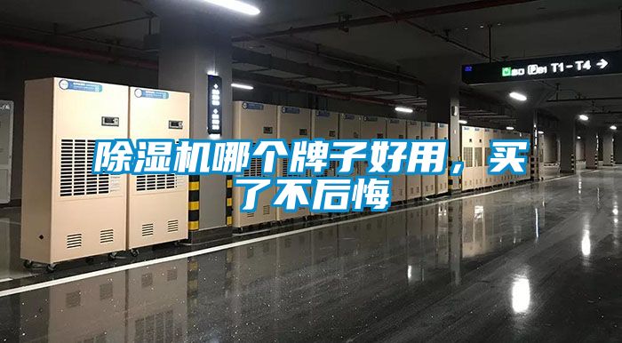 91视频链接下载哪個牌子好用，買了不後悔