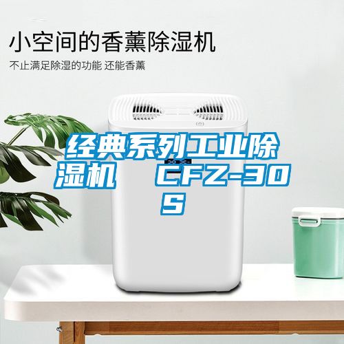 經典係列工業91视频链接下载 CFZ-30S