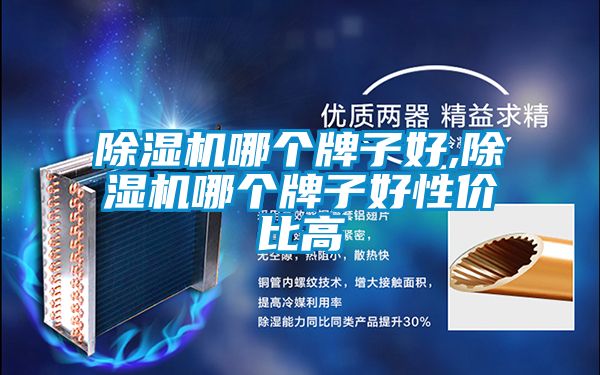 91视频链接下载哪個牌子好,91视频链接下载哪個牌子好性價比高