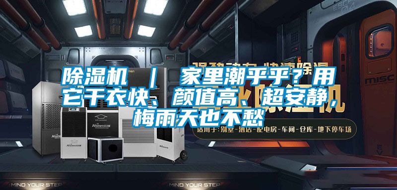91视频链接下载 ｜ 家裏潮乎乎？用它幹衣快、顏值高、超安靜，梅雨天也不愁