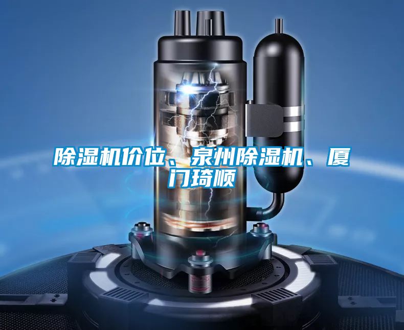 91视频链接下载價位、泉州91视频链接下载、廈門琦順