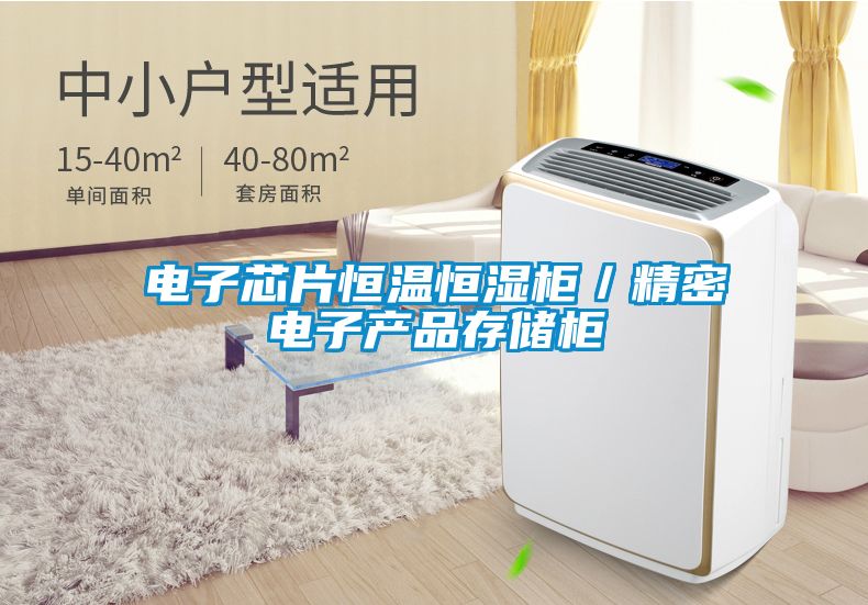 電子芯片恒溫恒濕櫃/精密電子產品存儲櫃