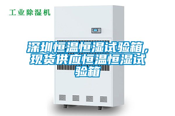 深圳恒溫恒濕試驗箱，現貨供應恒溫恒濕試驗箱