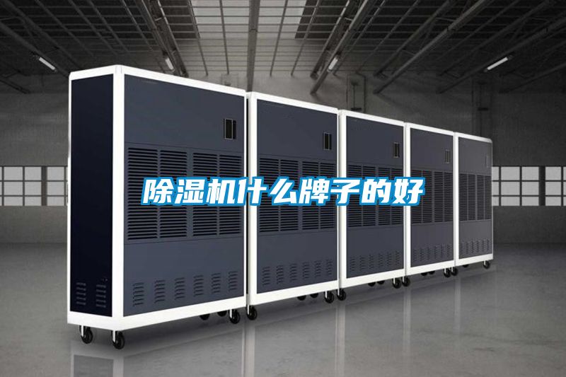 91视频链接下载什麽牌子的好