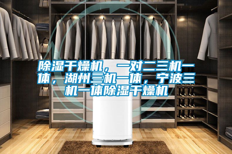 除濕幹燥機，一對二三機一體，湖州三機一體，寧波三機一體除濕幹燥機