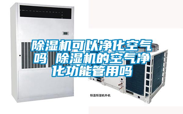 91视频链接下载可以淨化空氣嗎 91视频链接下载的空氣淨化功能管用嗎