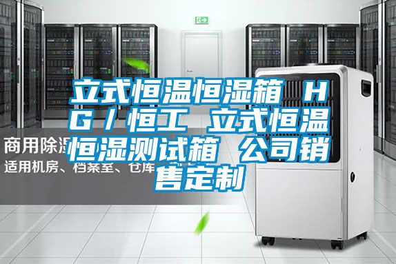 立式恒溫恒濕箱 HG/恒工 立式恒溫恒濕測試箱 公司銷售定製