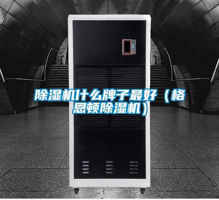 91视频链接下载什麽牌子最好（格恩頓91视频链接下载）