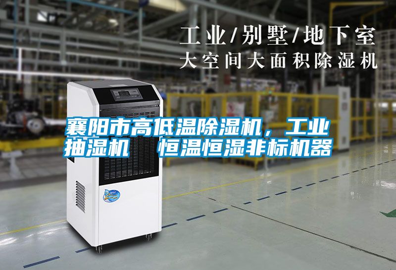 襄陽市高低溫91视频链接下载，工業抽濕機  恒溫恒濕非標機器