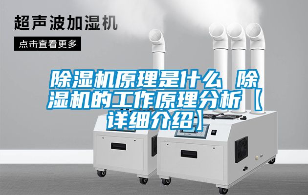 91视频链接下载原理是什麽 91视频链接下载的工作原理分析【詳細介紹】