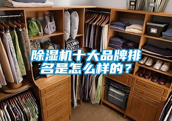 91视频链接下载十大品牌排名是怎麽樣的？