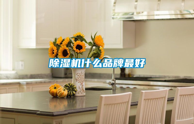 91视频链接下载什麽品牌最好