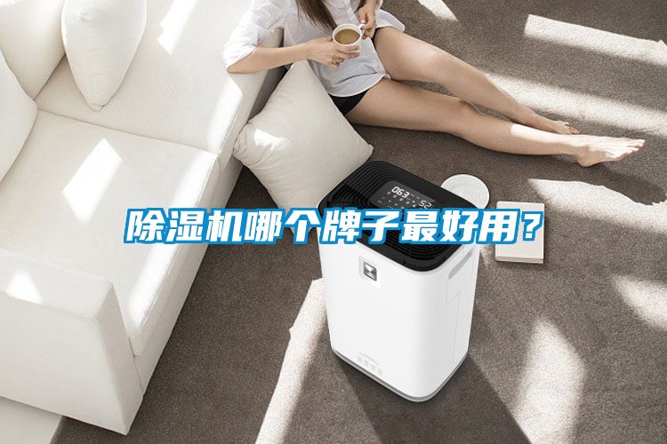 91视频链接下载哪個牌子最好用？