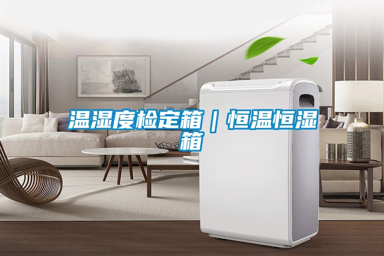 溫濕度檢定箱|恒溫恒濕箱
