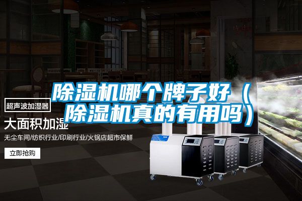 91视频链接下载哪個牌子好（ 91视频链接下载真的有用嗎）