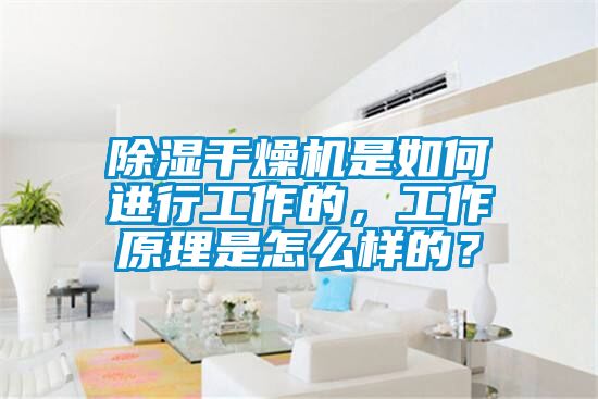 除濕幹燥機是如何進行工作的，工作原理是怎麽樣的？
