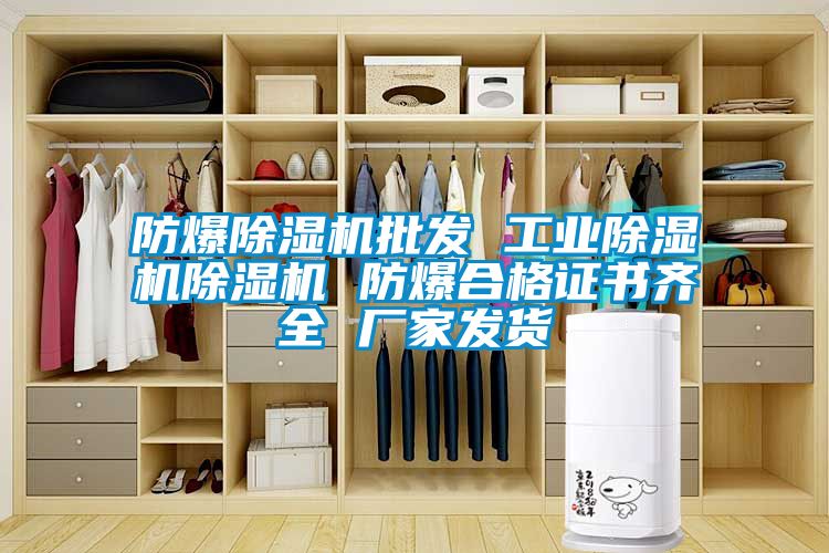 防爆91视频链接下载批發 工業91视频链接下载91视频链接下载 防爆合格證書齊全 廠家發貨