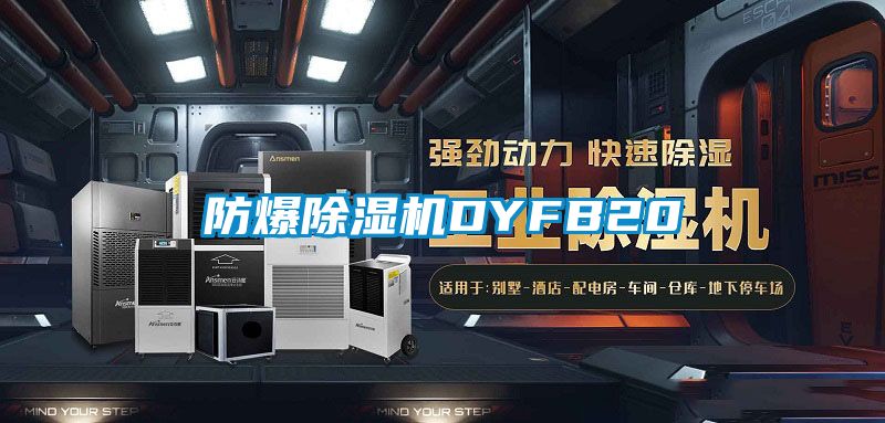 防爆91视频链接下载DYFB20