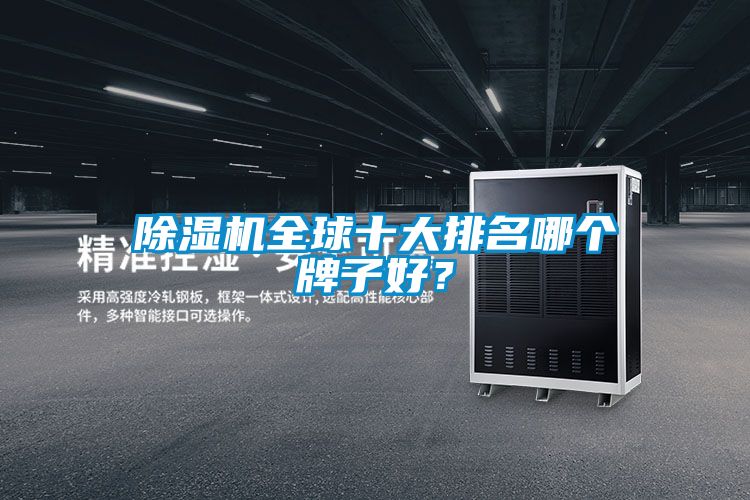 91视频链接下载全球十大排名哪個牌子好？