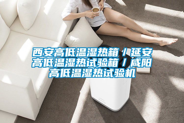 西安高低溫濕熱箱/延安高低溫濕熱試驗箱/鹹陽高低溫濕熱試驗機