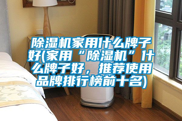 91视频链接下载家用什麽牌子好(家用“91视频链接下载”什麽牌子好，推薦使用品牌排行榜前十名)