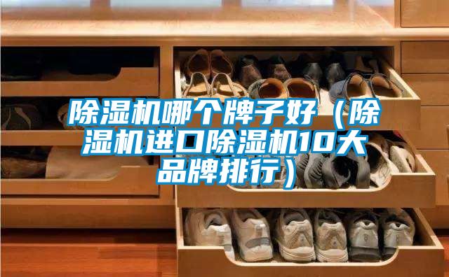 91视频链接下载哪個牌子好（91视频链接下载進口91视频链接下载10大品牌排行）