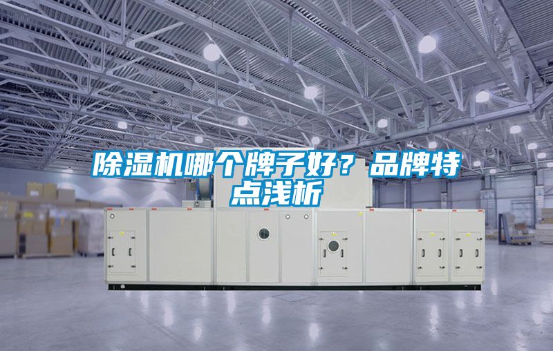 91视频链接下载哪個牌子好？品牌特點淺析