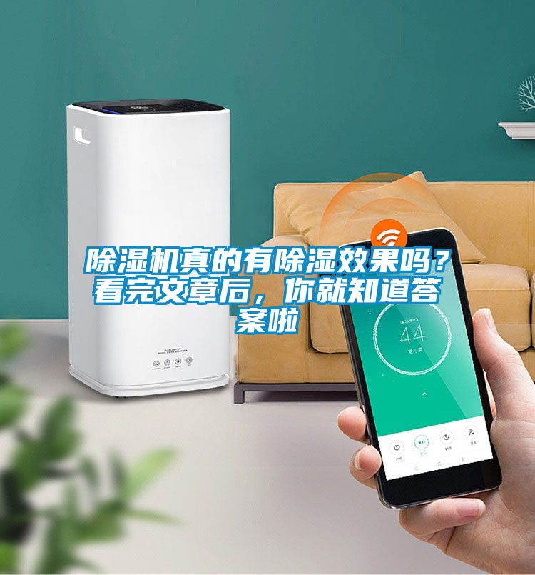 91视频链接下载真的有除濕效果嗎？看完文章後，你就知道答案啦