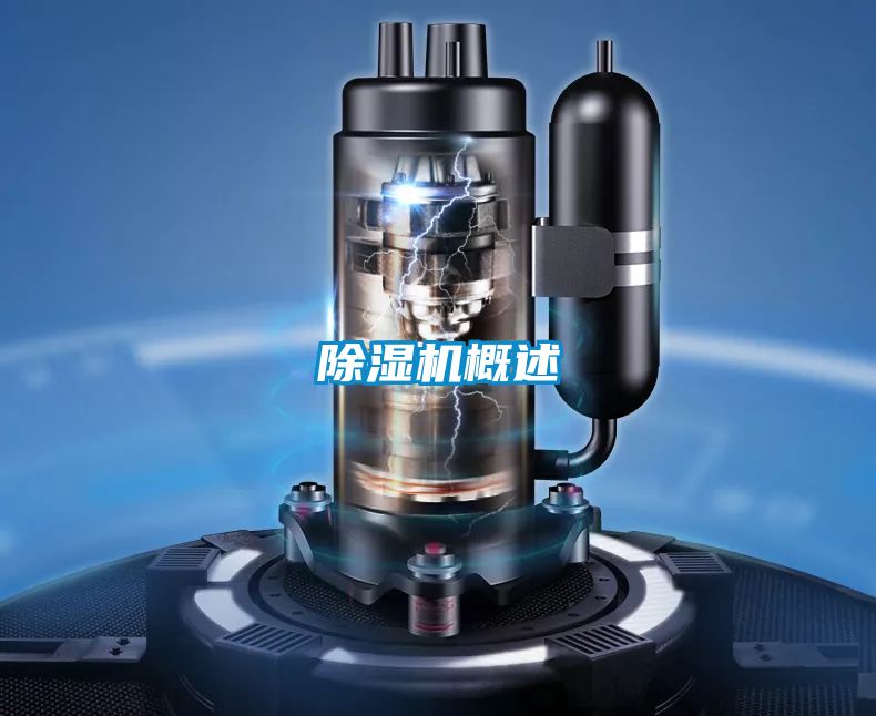 91视频链接下载概述