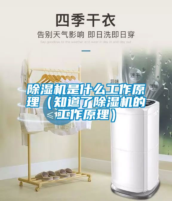 91视频链接下载是什麽工作原理（知道了91视频链接下载的工作原理）