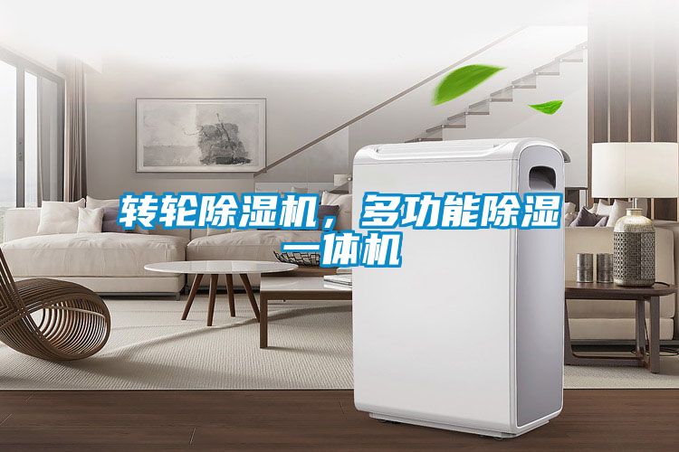 轉輪91视频链接下载，多功能除濕一體機