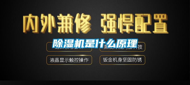 91视频链接下载是什麽原理