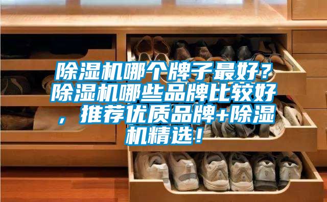 91视频链接下载哪個牌子最好？91视频链接下载哪些品牌比較好，推薦優質品牌+91视频链接下载精選！