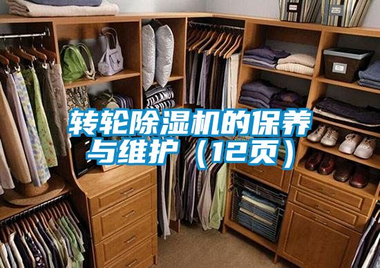 轉輪91视频链接下载的保養與維護(12頁)