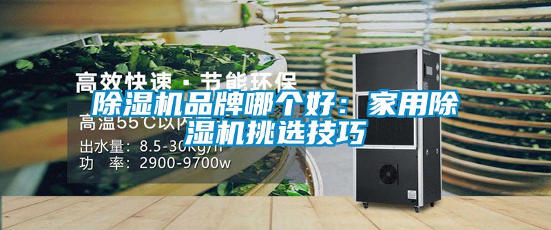 91视频链接下载品牌哪個好：家用91视频链接下载挑選技巧