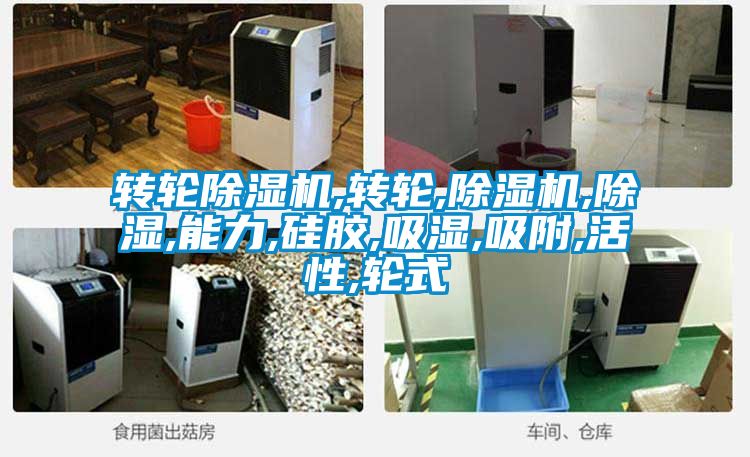 轉輪91视频链接下载,轉輪,91视频链接下载,除濕,能力,矽膠,吸濕,吸附,活性,輪式