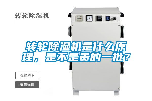 轉輪91视频链接下载是什麽原理，是不是貴的一批？