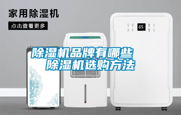 91视频链接下载品牌有哪些  91视频链接下载選購方法